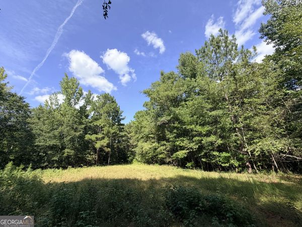 2 Cunningham Road, Greensboro, GA 30642