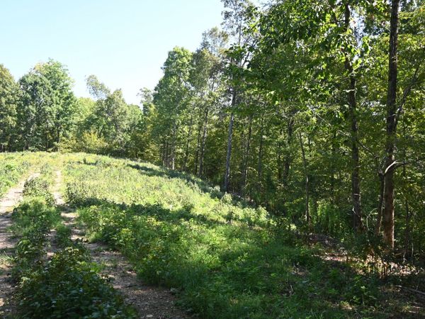 2038 Swindle Creek Rd , Unit 4, Linden, TN 37096