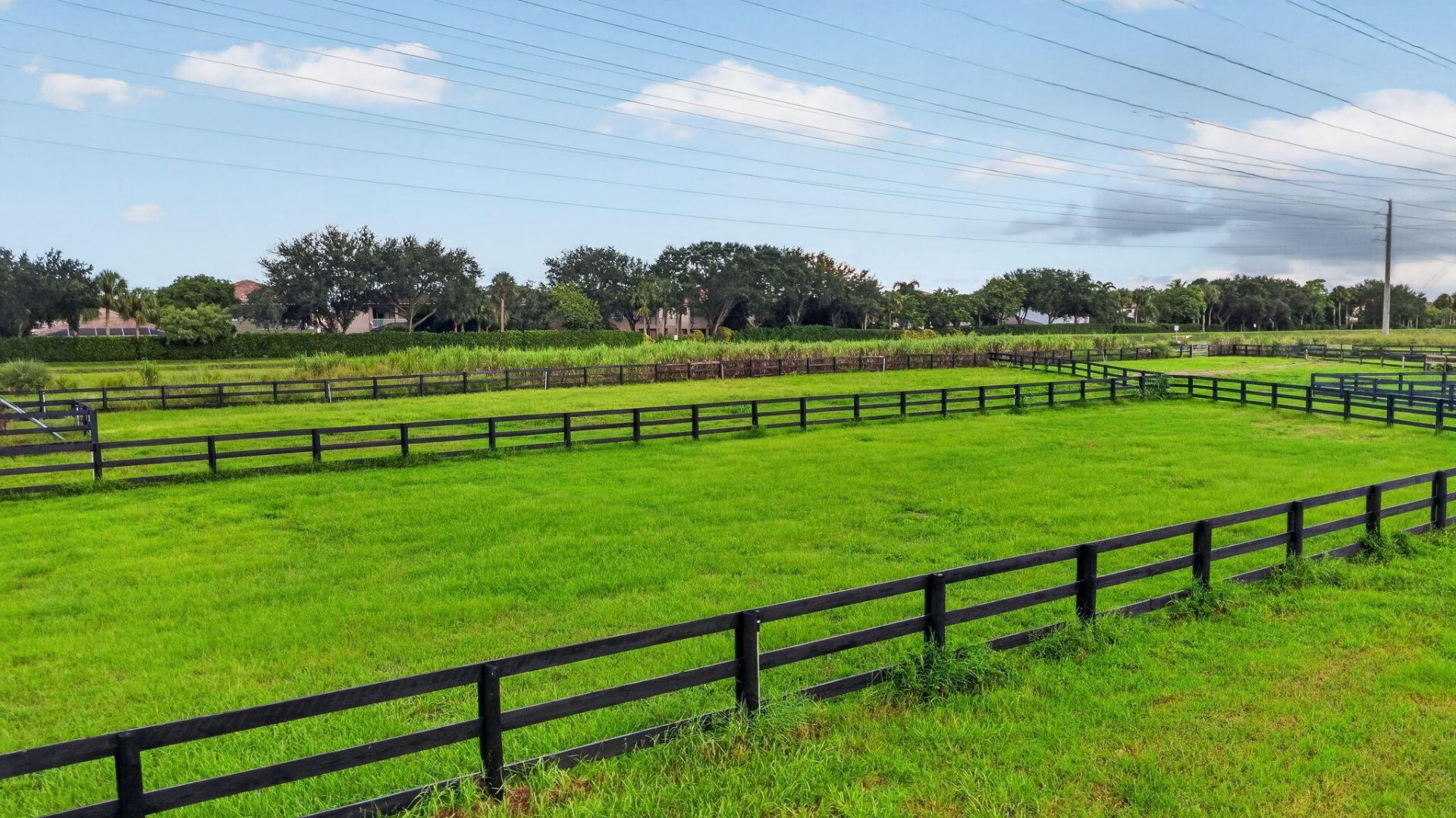 876 Cindy Cir Lane, Wellington, FL 33414 Photo