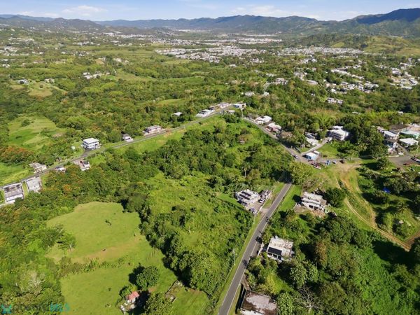 935 CARR, Juncos, PR 00777