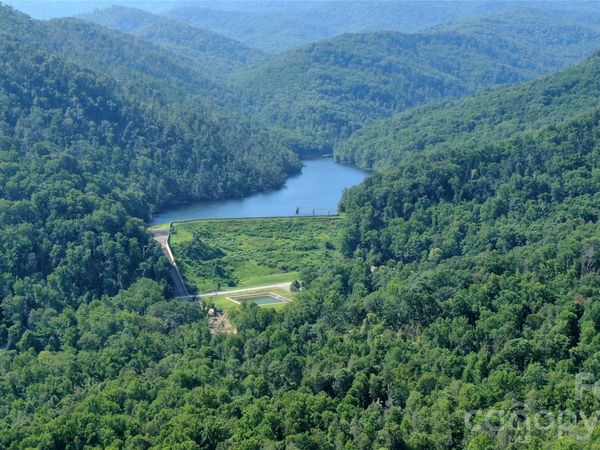 99999 Bee Tree Road, Swannanoa, NC 28778