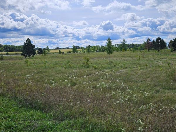 tbd 394th St. , Perham, MN 56573