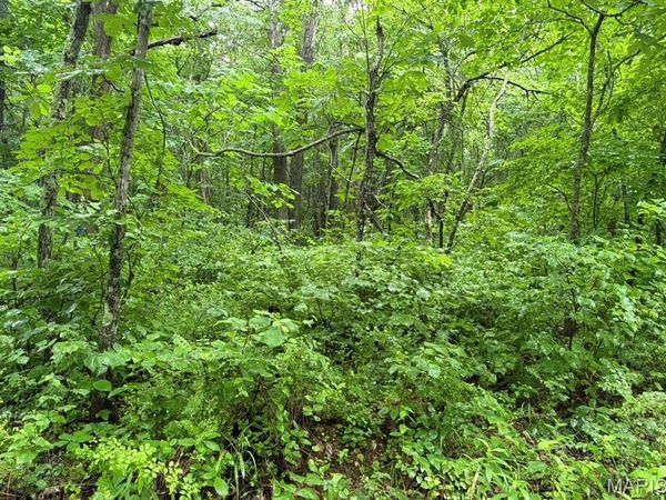 000 County Road 512 , Piedmont, MO 63957