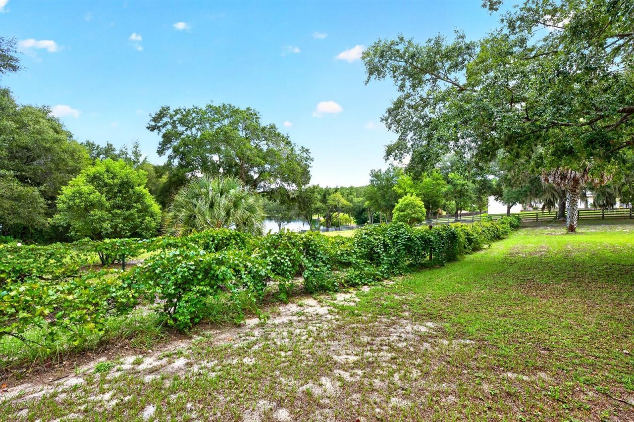 15771 SE 170th Avenue, Weirsdale, FL 32195 Photo