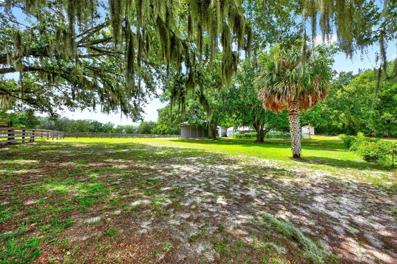 15771 SE 170th Avenue, Weirsdale, FL 32195 Photo