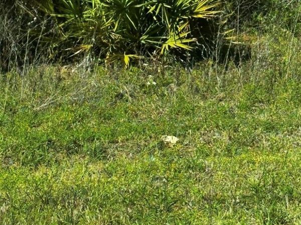 2 24TH , OCALA, FL 34481
