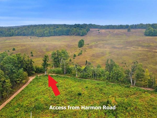 Harmon Road, Petoskey, MI 49770