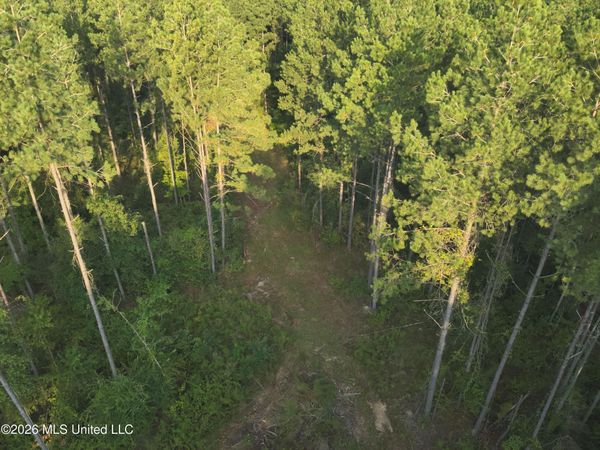 1178 Tolar Road, Oak Vale, MS 39656