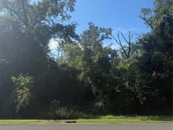 TBD CHOCTAW Drive, Tickfaw, LA 70466