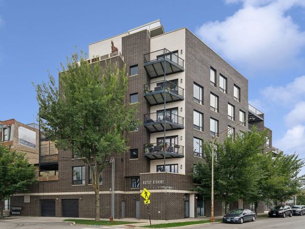 1157 W Erie Street, Unit 3W, Chicago, IL 60642