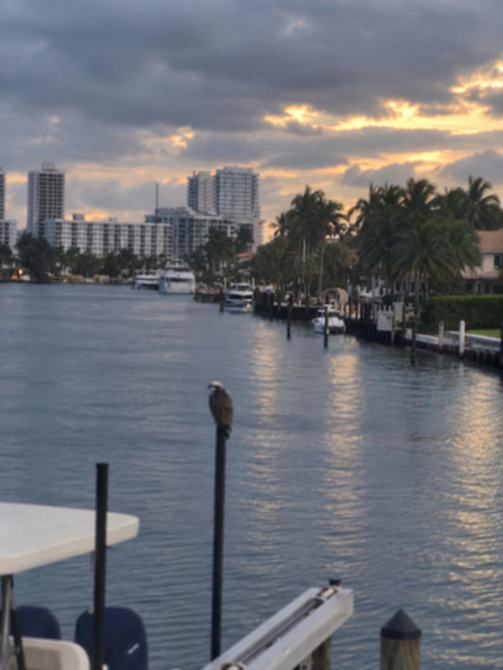 516 Hendricks Isle, Unit 2C, Fort Lauderdale, FL 33301 Photo