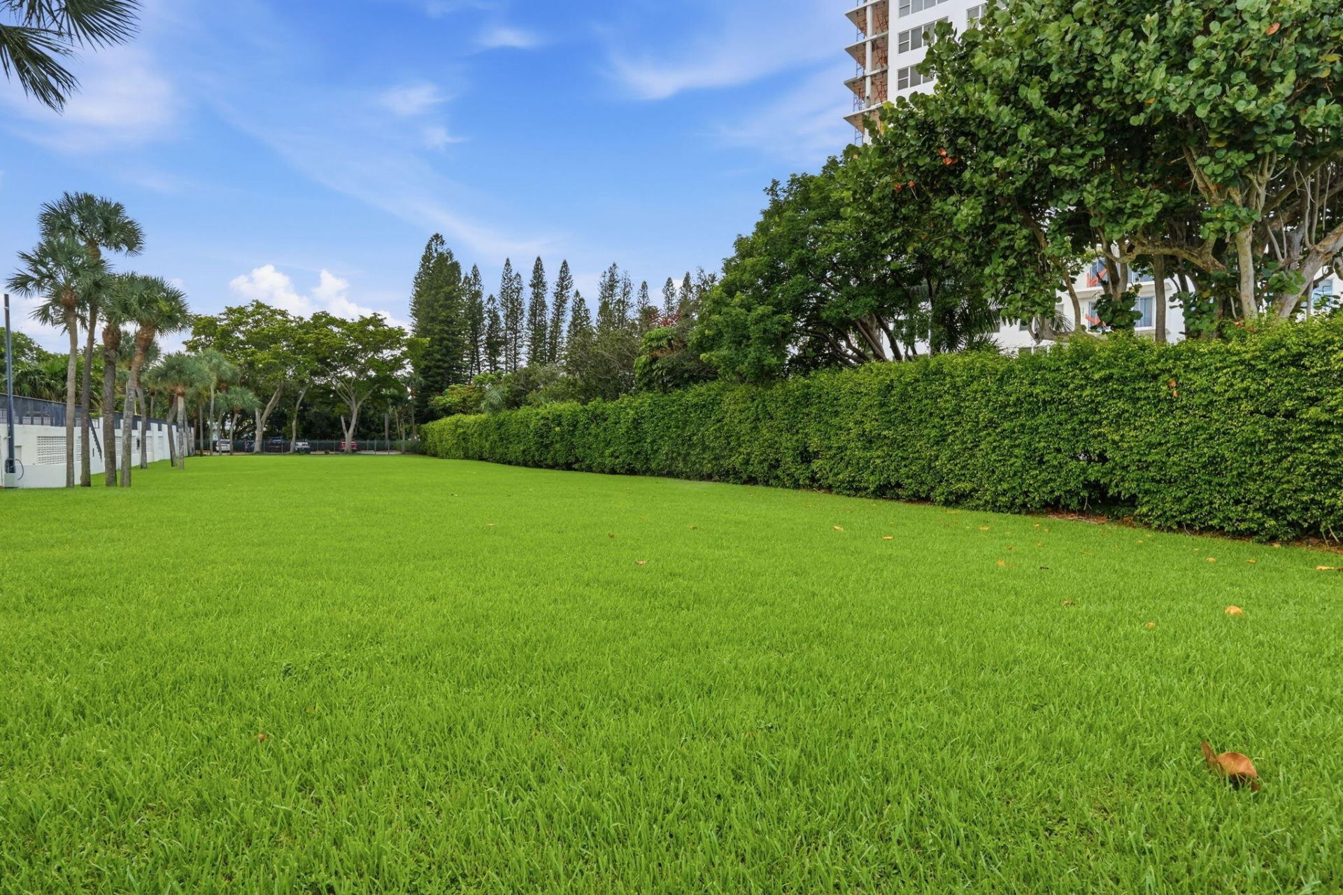 901 E Camino Real, Unit 6D, Boca Raton, FL 33432 Photo