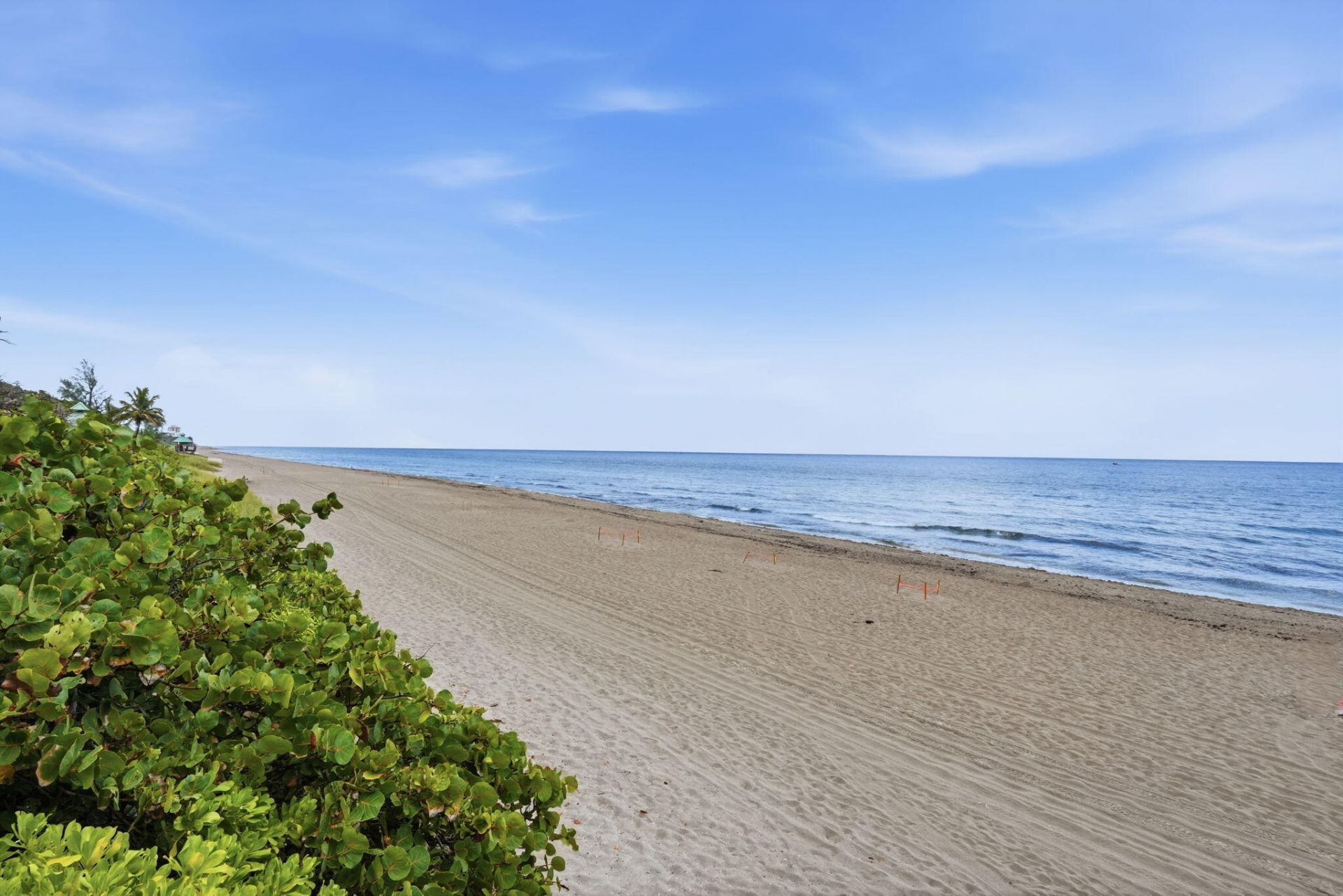 901 E Camino Real, Unit 6D, Boca Raton, FL 33432 Photo
