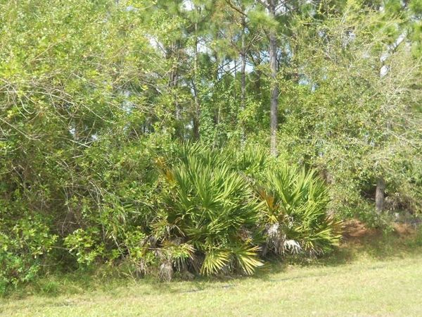 . SE Gilson Road, FL 00000