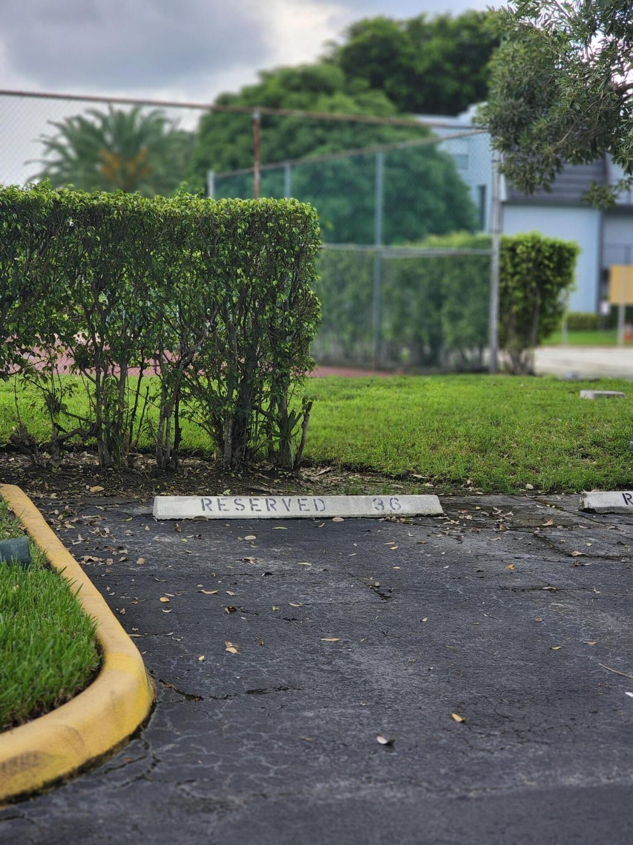 9301 Lime Bay Boulevard, Unit 306, Tamarac, FL 33321 Photo