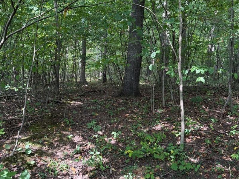 6951 / 7151 Woodard Road, Andover, OH 44003 Photo 10
