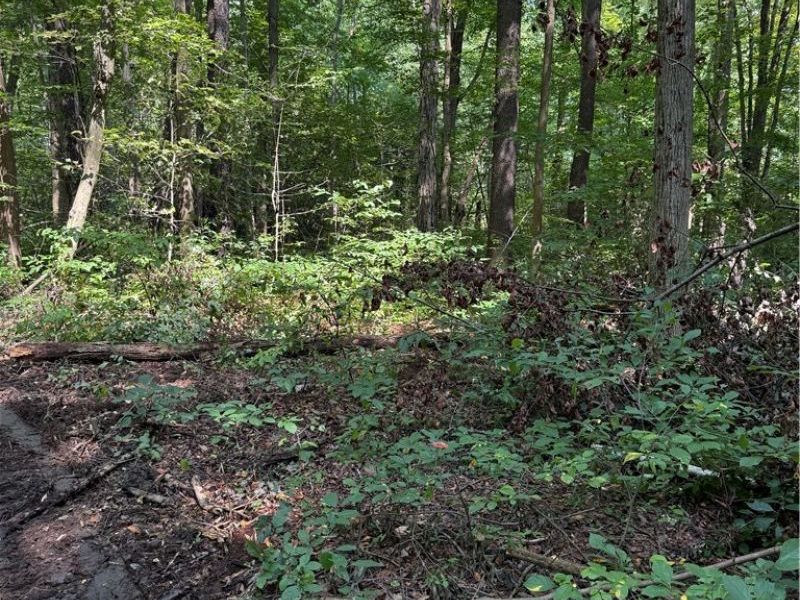 6951 / 7151 Woodard Road, Andover, OH 44003 Photo 3