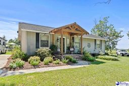 531 Bridlewood Rd photo 4