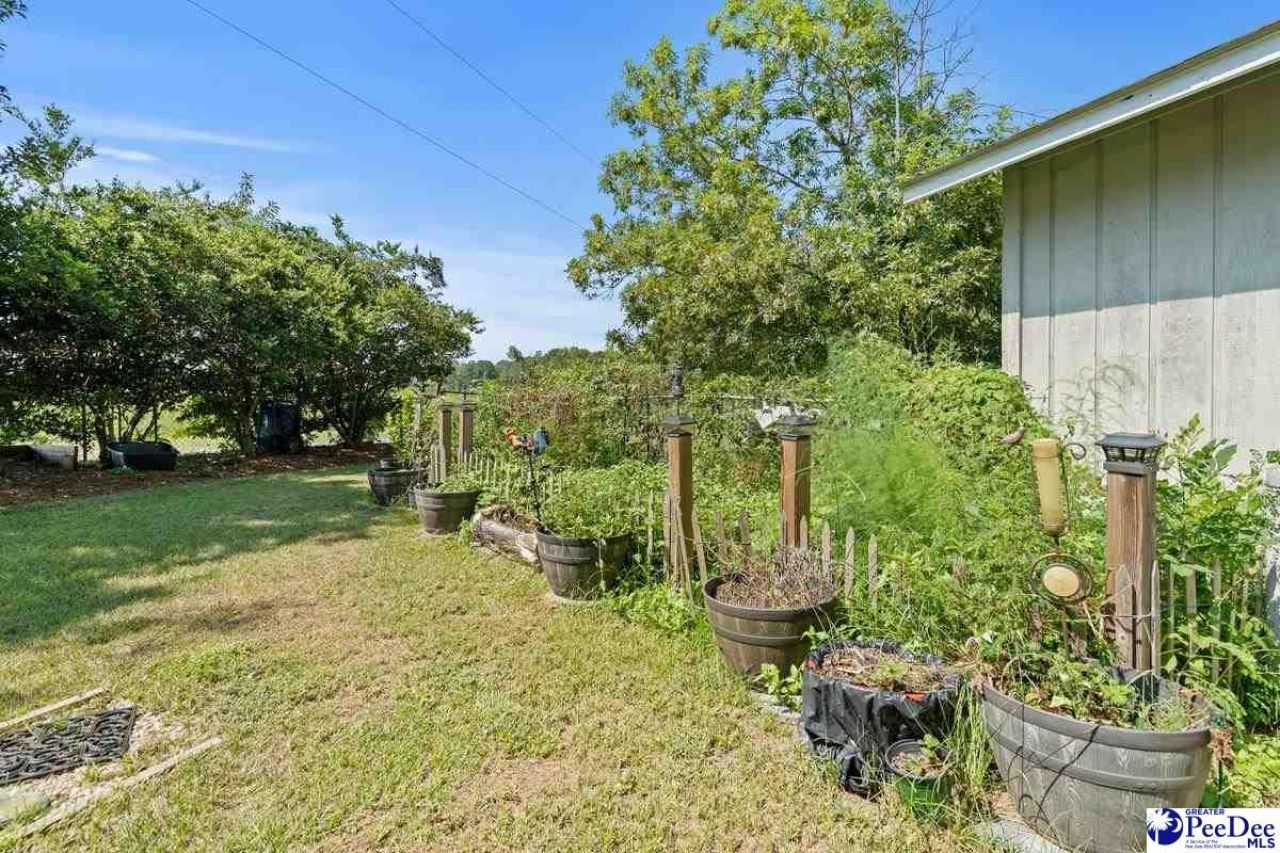 531 Bridlewood Rd Photo 37