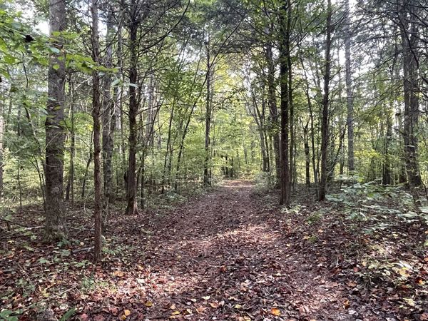 0 Waters Road , Centerville, TN 37033