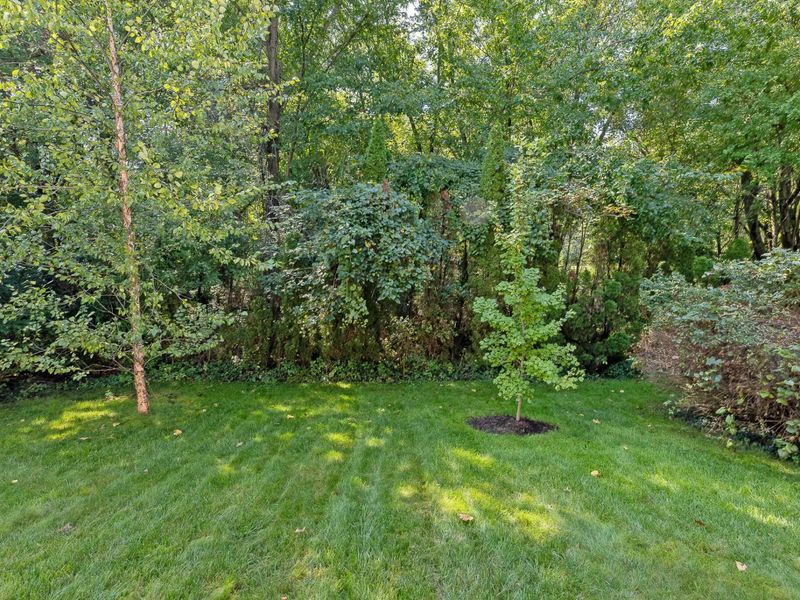 7381 Hampsted Square S, New Albany, OH 43054 Photo 50