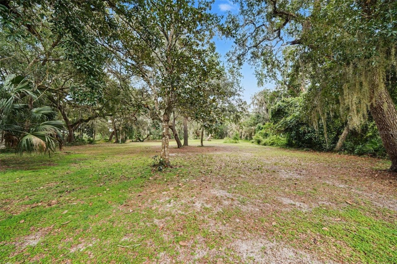 16731 SE 181st Terrace, Weirsdale, FL 32195 Photo