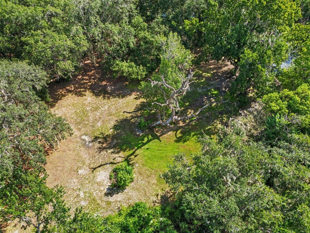 16731 SE 181st Terrace, Weirsdale, FL 32195 Photo