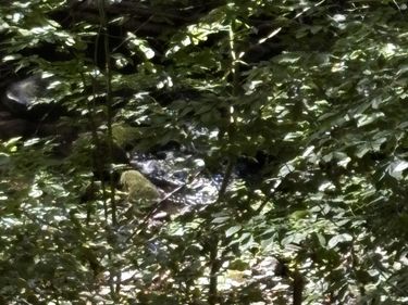 CRABTREE FALLS HWY, TYRO, VA 22976