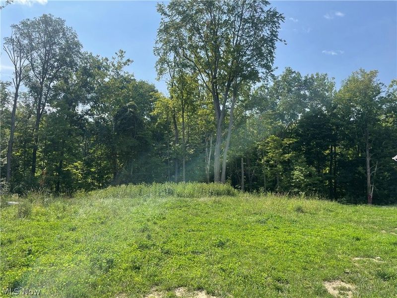 S/L 371 Canyon Ridge, Chagrin Falls, OH 44023 Photo 2
