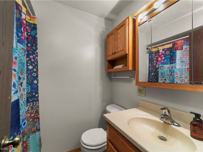 7878 Prouty Road, Lodi, OH 44254 Photo 23
