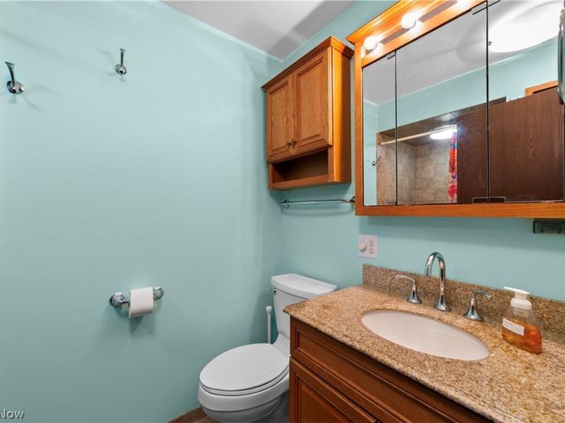 7878 Prouty Road, Lodi, OH 44254 Photo 31