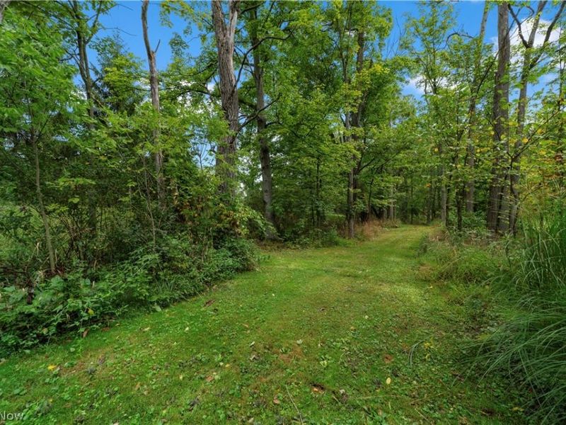 7878 Prouty Road, Lodi, OH 44254 Photo 43