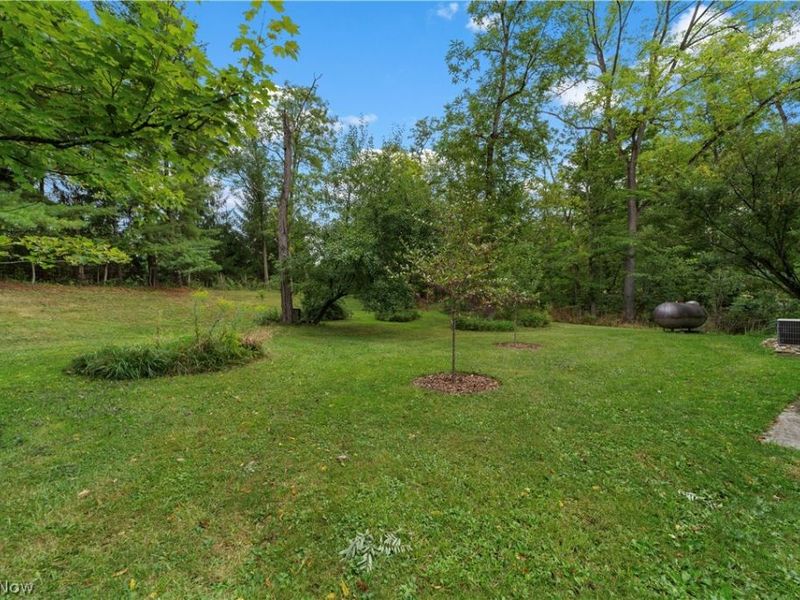 7878 Prouty Road, Lodi, OH 44254 Photo 46