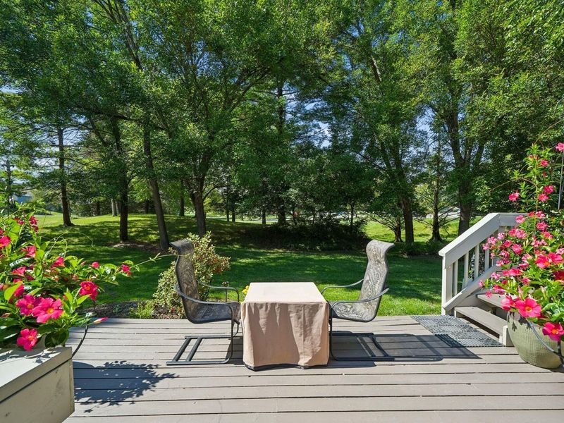 8603 Scotscraig Court, Dublin, OH 43017 Photo 46