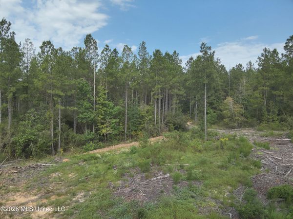 769 Ms-43, Oak Vale, MS 39656