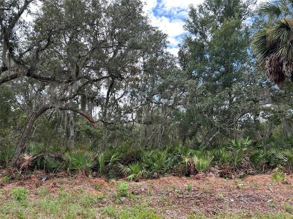 PETERSON ROAD , PIERSON, FL 32180