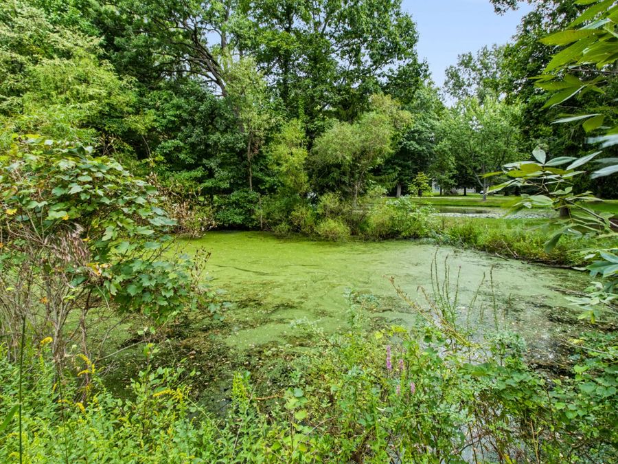Property Image 48
