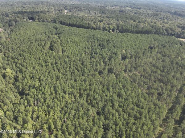 838 Ms-43, Oak Vale, MS 39656