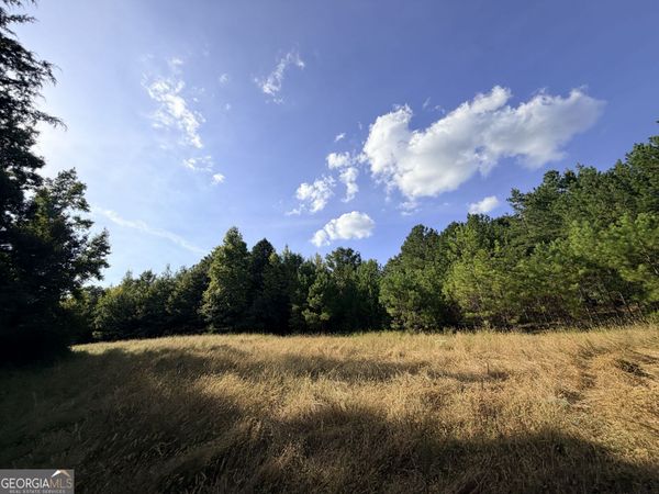 3 Cunningham Road, Greensboro, GA 30642