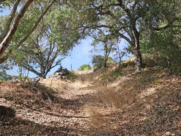 Scotts Valley, CA 95066