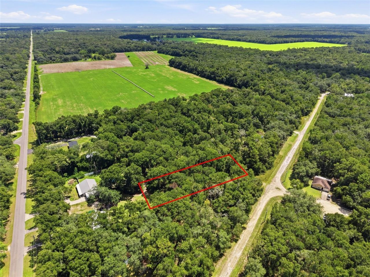 Lot 11 NW 164th Street, Fanning Springs, FL 32693 Photo