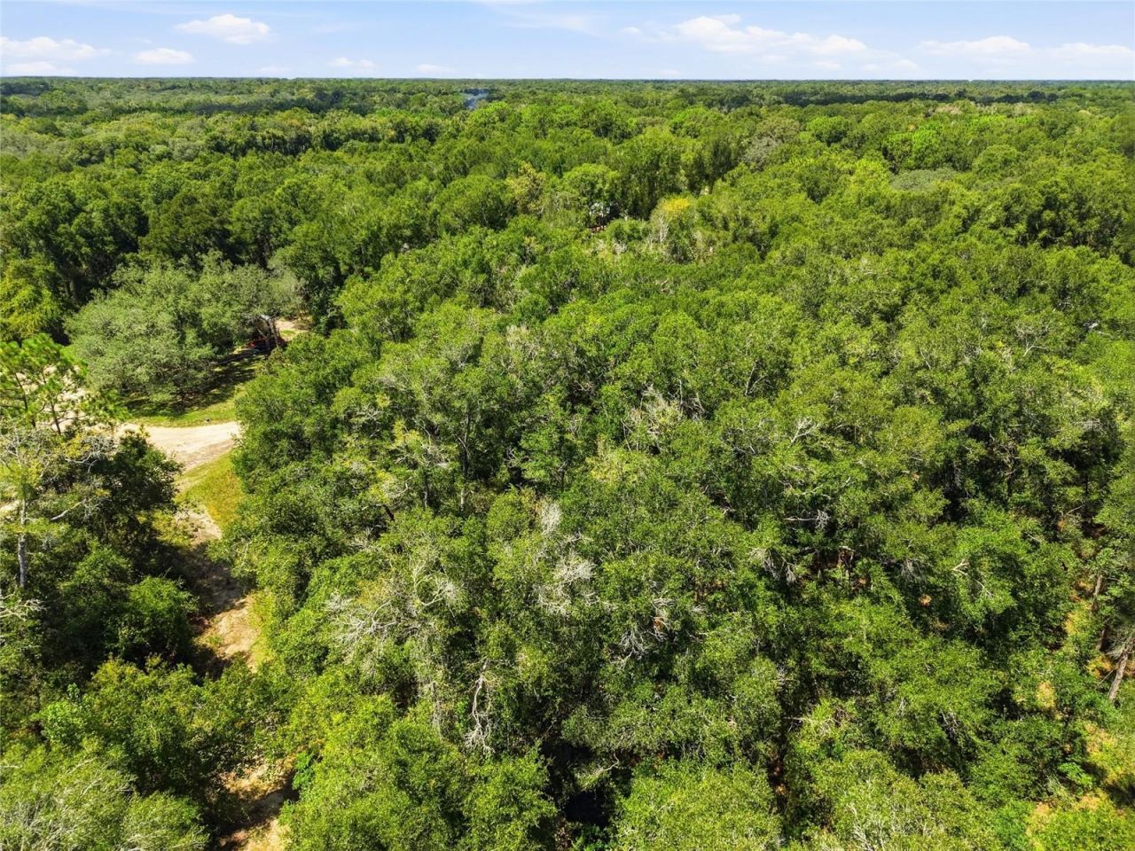 Lot 11 NW 164th Street, Fanning Springs, FL 32693 Photo