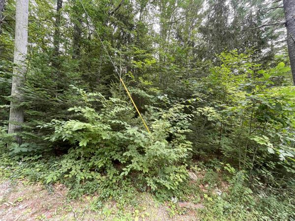 Sweeney Road, Washington, NH 03244