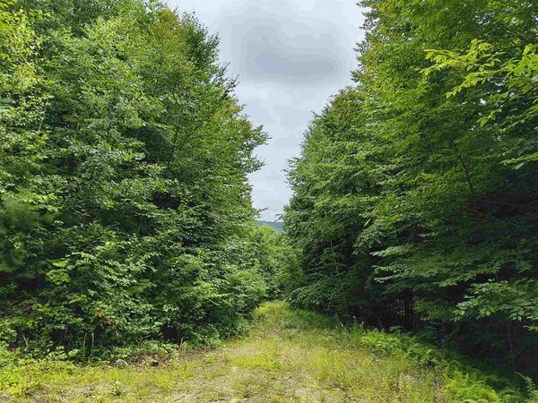 Lot #5 Cilley Brook Lane, Unit 5, Hebron, NH 03241