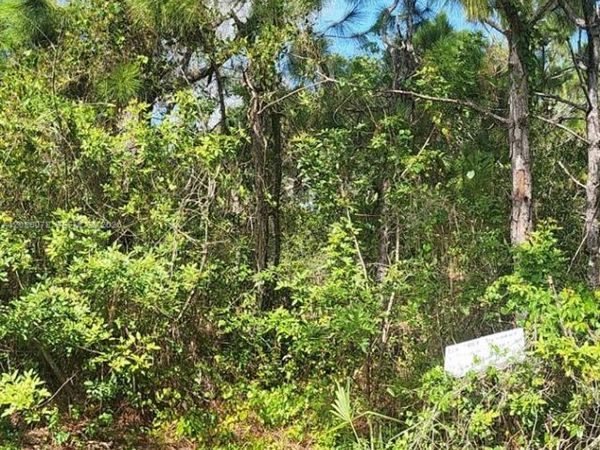 29256 MARIS DR , Punta Gorda, FL 33982