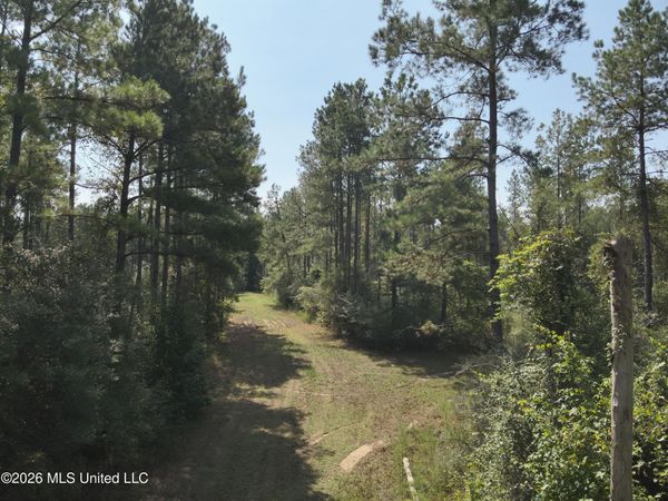 40 J W Jones Road, Oak Vale, MS 39656