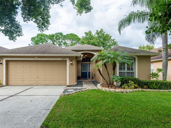 10274 OASIS PALM DRIVE, TAMPA, FL 33615