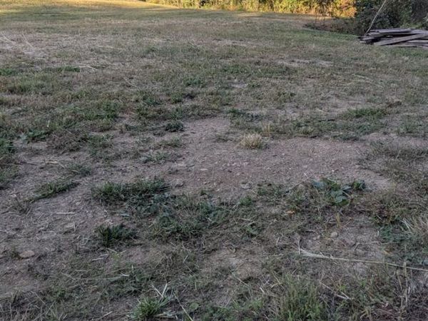 2616 Rabbit Flat Road , Caneyville, KY 42721