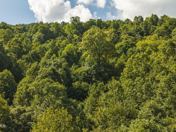 89.608 Ac Watson Hollow, Speedwell, TN 37870