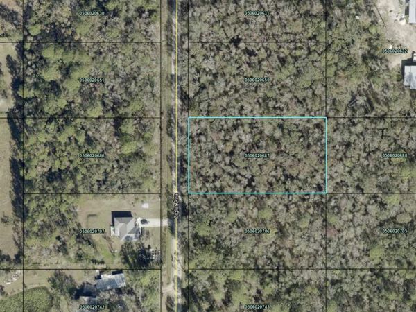 10220 ZIGLER Avenue, Hastings, FL 32145